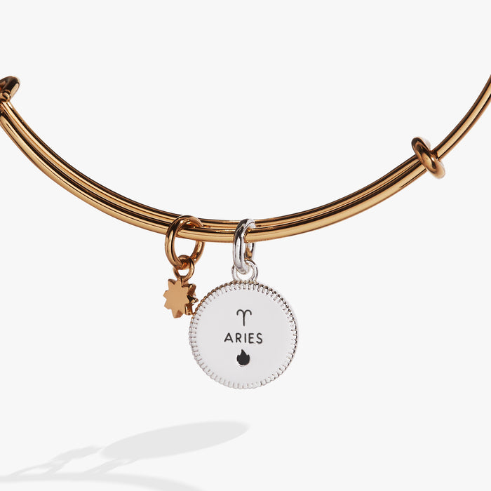Aries Zodiac Charm Bangle