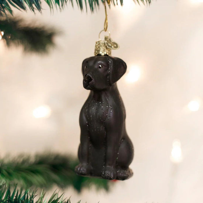 Hand-painted black Labrador blown glass ornament with glittered accents hanging on a Christmas tree.
