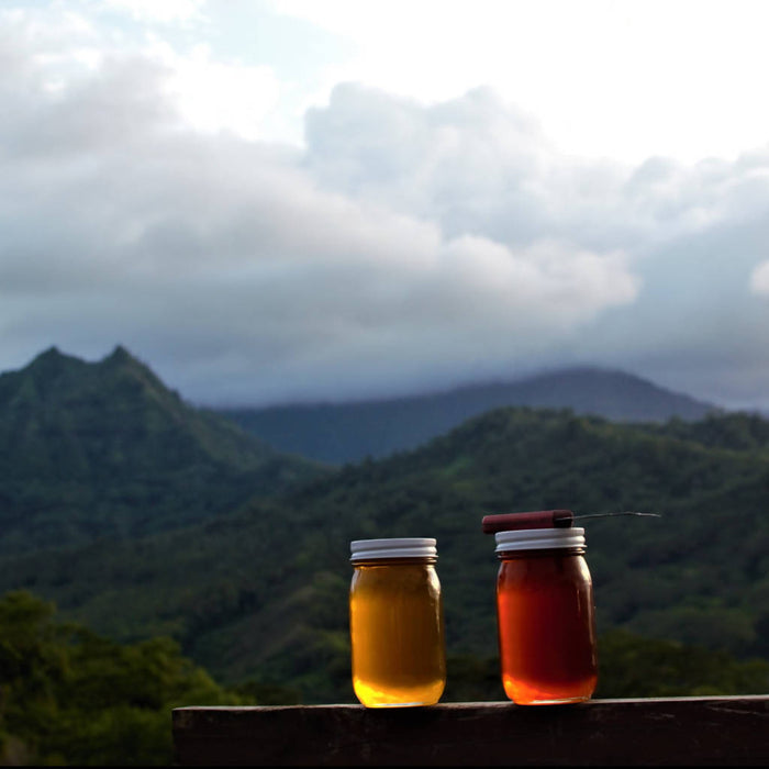 Cold- Pressed Honey - 2 Jars - 16oz each