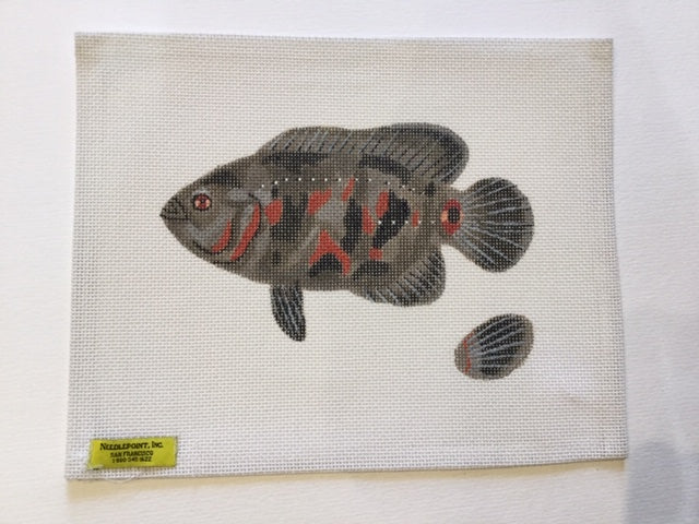 Fish