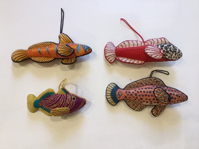 Fish