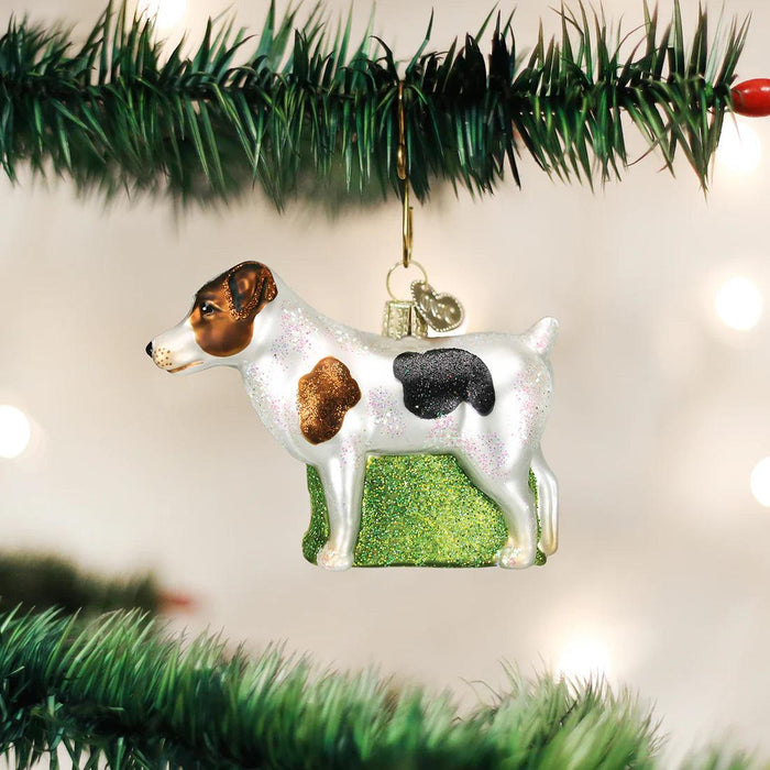 Hand-painted blown glass Jack Russell Terrier ornament with glitter accents, hanging on a green pine Christmas tree branch.