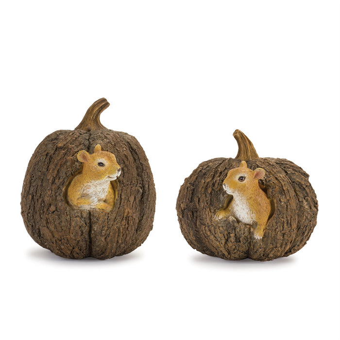 Pumpkin with Squirrel