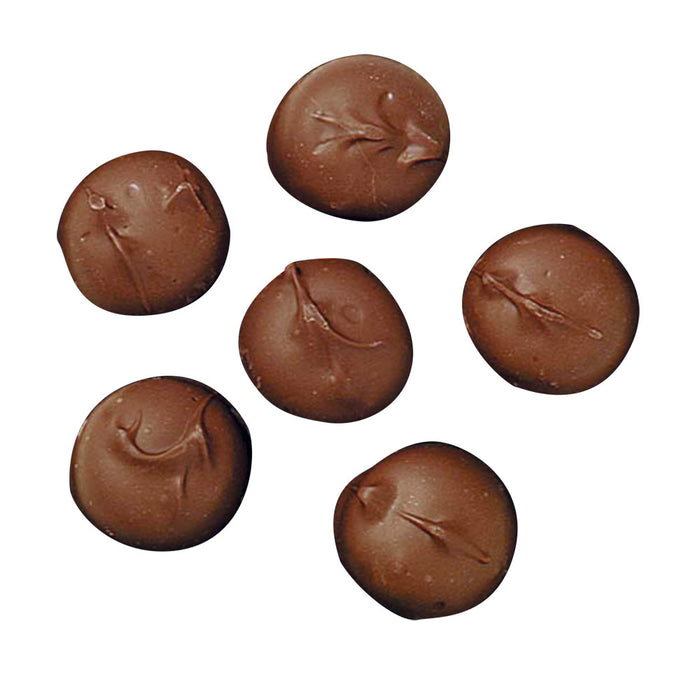 Sugar Free Vanilla Marshmallow Candy - Milk Chocolate 4.5lb