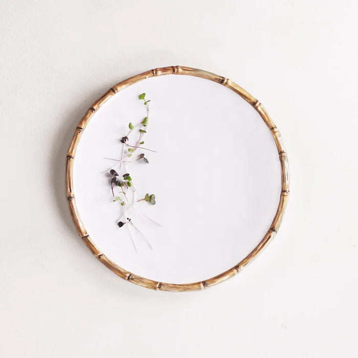 VIDA Bamboo 11" Dinner Plate Set of 4 (White and Natural).