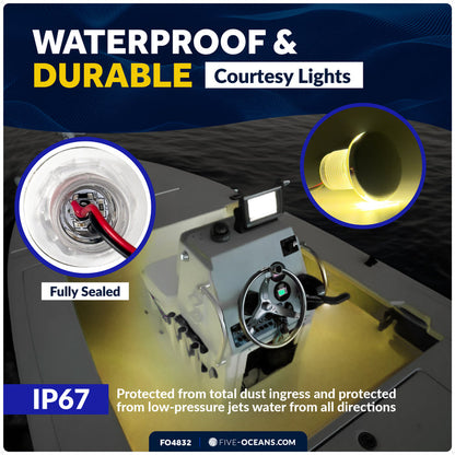 1-5/16" Round LED Thru-Hull Livewell / Courtesy Light, Warm White 16LM, 12V, 4-Pack - FO4832 - Five Oceans