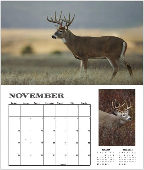 2024 BUCK FEVER DELUXE WALL CALENDAR