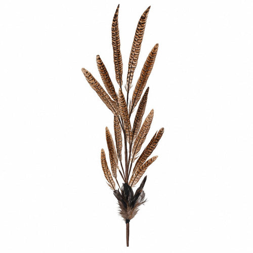 30" Pheasant Feather Spray-Home/Giftware-Kevin's Fine Outdoor Gear & Apparel