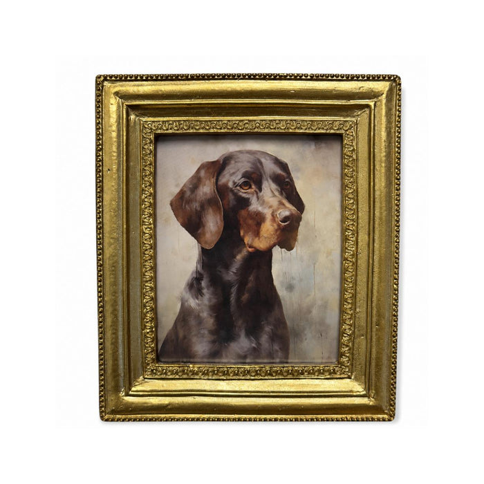 Vintage bird dog portrait in a decorative, ornate gold resin frame, 6-inch compact sporting art style.