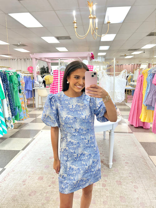 Blue Toile Metallic Mini Dress