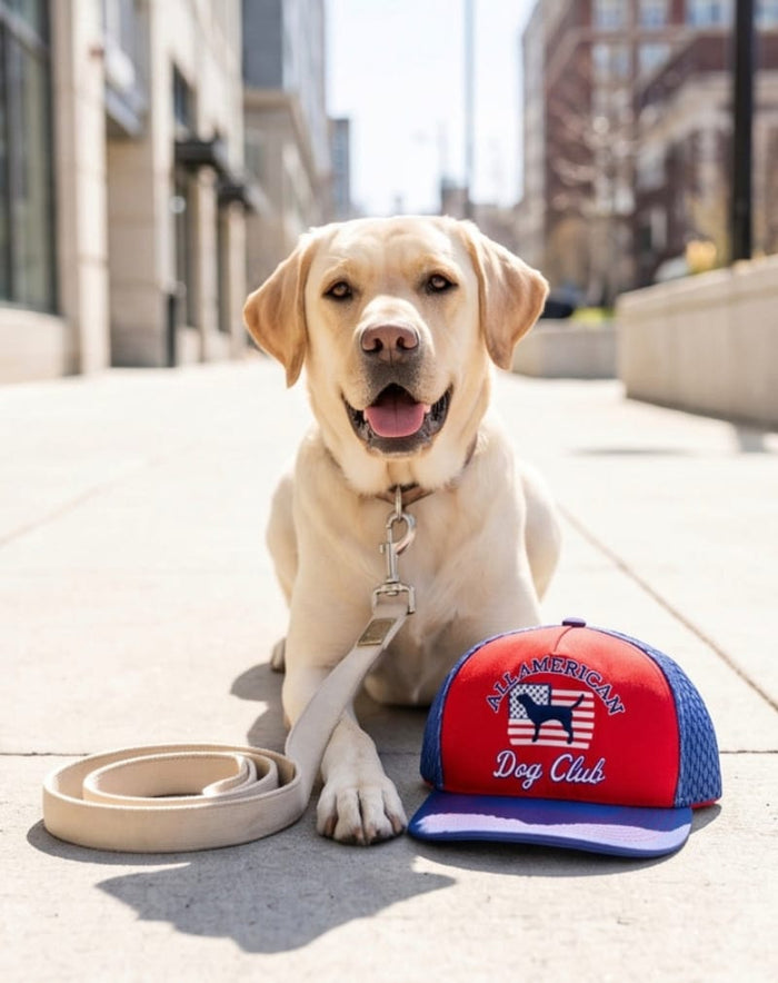 Haute Diggity Dog Dog Toys All American Dog Club Trucker Hat Plush Squeaky Dog Toy