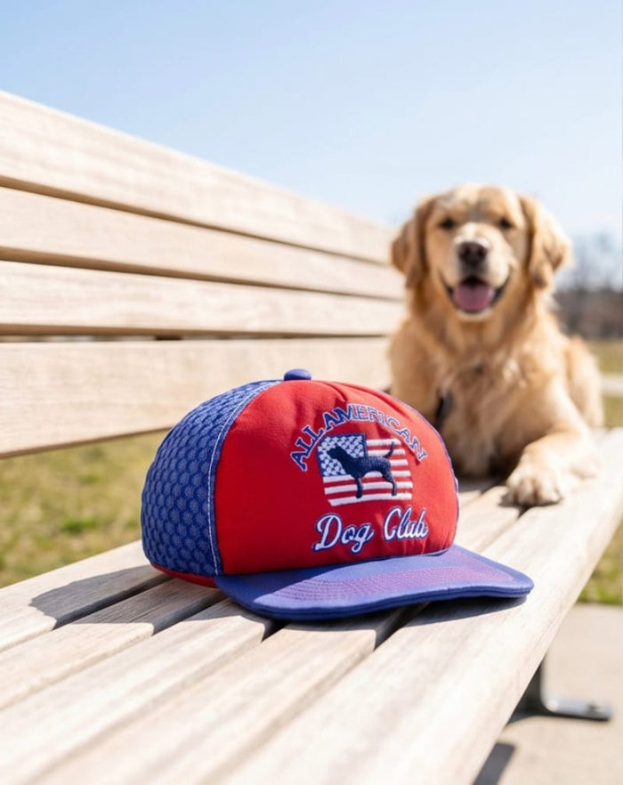 Haute Diggity Dog Dog Toys All American Dog Club Trucker Hat Plush Squeaky Dog Toy