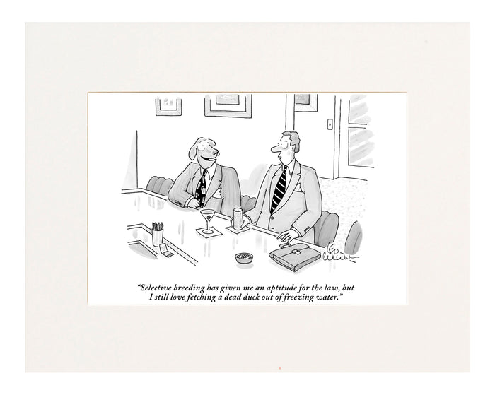 An Aptitude for Law Cartoon Print