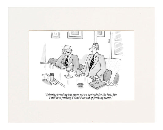 An Aptitude for Law Cartoon Print