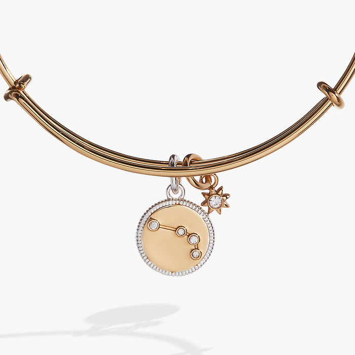 Aries Zodiac Charm Bangle