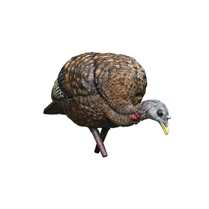 Avian X LCD Feeder Hen decoy with realistic brown feather detail and durable PVC construction in a feeding posture.