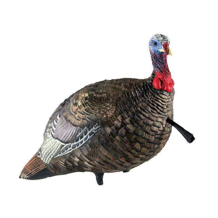 Avian-X LCD quarter-strut jake turkey decoy in durable, realistic brown PVC rubber with a lifelike head and beard.