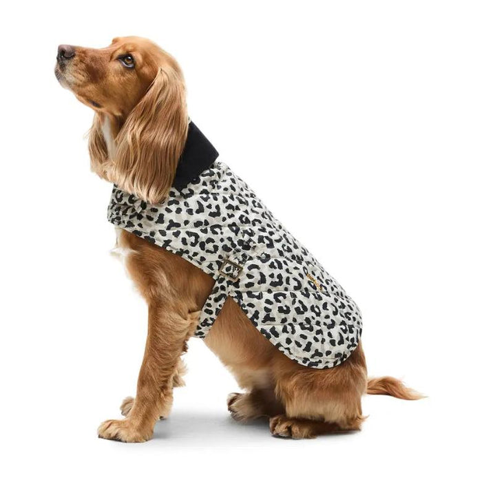 Dog wearing a quilted Barbour Harley coat with a jaguar print, black cord collar, and adjustable buckle strap.