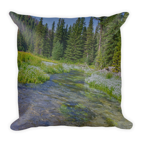 Black Hills Serenity Throw Pillow