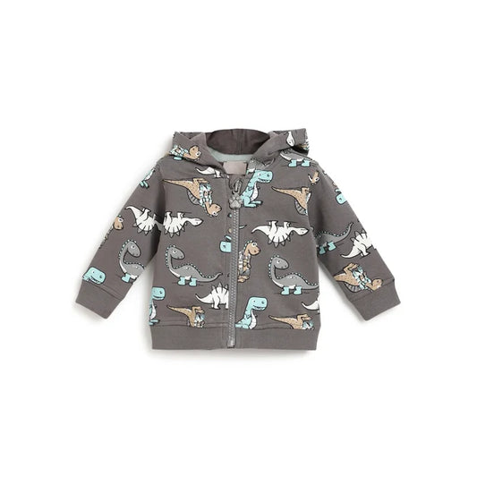 Boys Grey Printed Hooded Sweatshirt