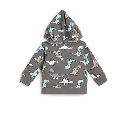 Boys Grey Printed Hooded Sweatshirt