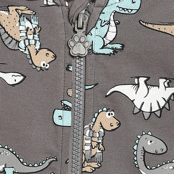 Boys Grey Printed Hooded Sweatshirt