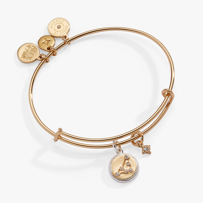 Capricorn Zodiac Charm Bangle