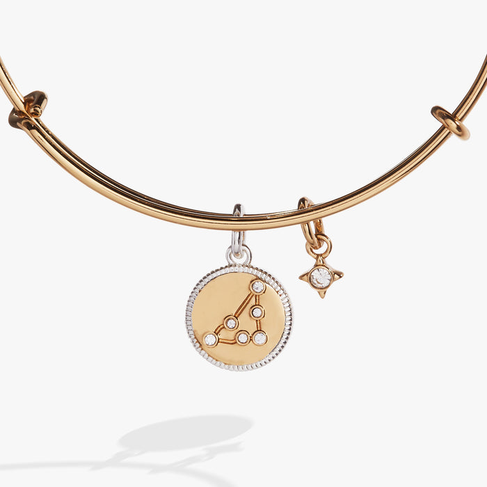 Capricorn Zodiac Charm Bangle