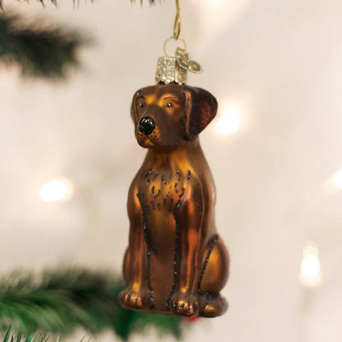 Hand-painted chocolate Labrador blown glass ornament with glitter accents, hanging on a Christmas tree.