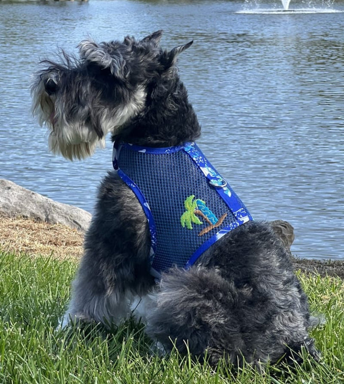 Doggie Design, Inc Harnesses Cool Mesh Dog Harness with Leash - Hawaiian Ocean Blue & Palms