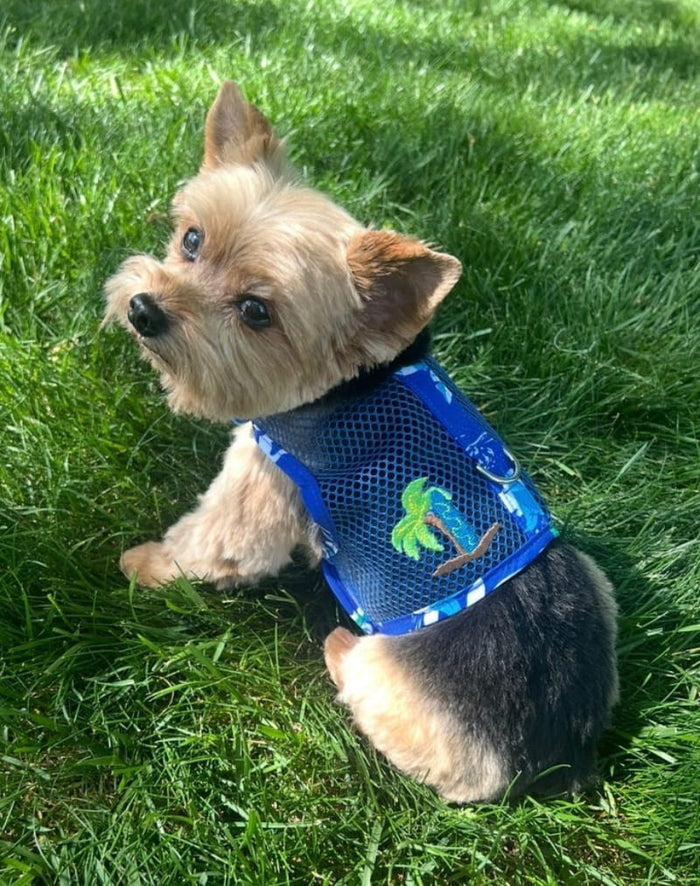 Doggie Design, Inc Harnesses Cool Mesh Dog Harness with Leash - Hawaiian Ocean Blue & Palms
