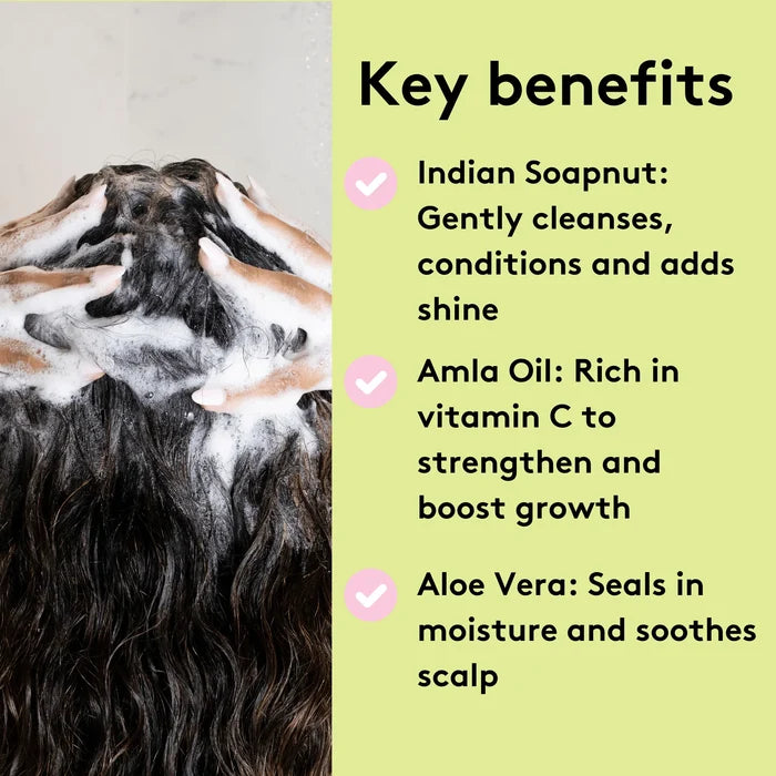 Delhicious Rich Roots Amla & Rosemary Shampoo - 250ml