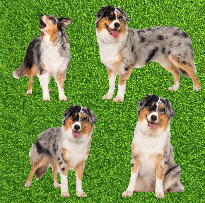 Dog Fabric, Australian Shephard Fabric on Grass, Cotton or Fleece, 3740 - Beautiful Quilt