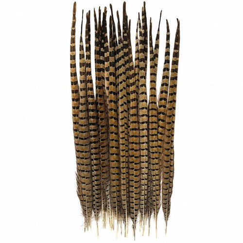 Long, slender farm-raised pheasant feathers with distinctive brown and black striped patterns for elegant decor.