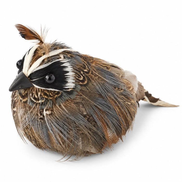 Feathered Quail-Home/Giftware-Kevin's Fine Outdoor Gear & Apparel