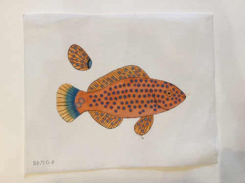 Fish