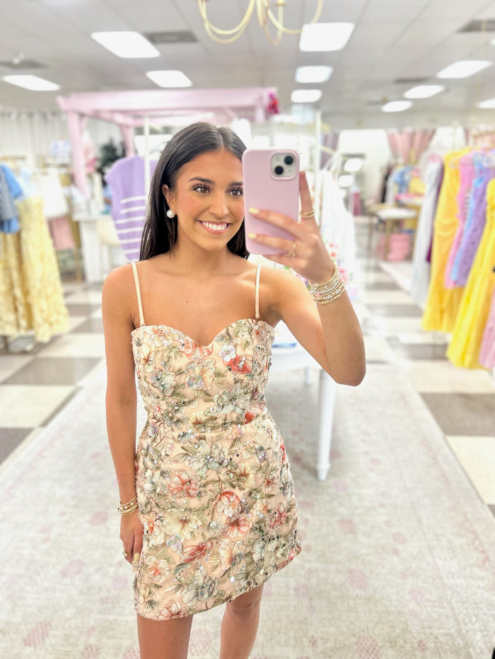 Floral Embroidery Mini Dress (Multi