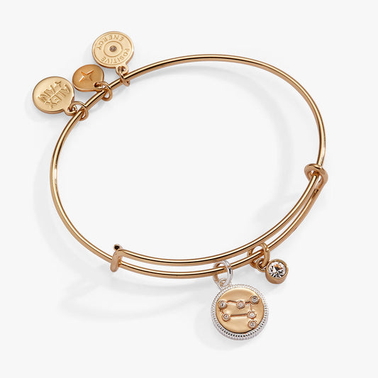 Gemini Zodiac Charm Bangle