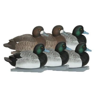 GHG Pro-Grade foam-filled Blue Bill duck decoys featuring four active drakes and two hens with realistic feather detail.