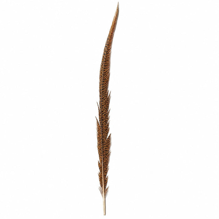 Golden Tail Feather-Home/Giftware-Kevin's Fine Outdoor Gear & Apparel