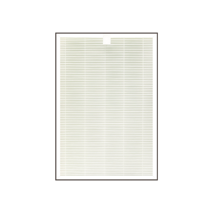 H13 True HEPA replacement filter for 1-year use, featuring a rectangular white pleated design. (CACF-AAMT10(HP,DE))