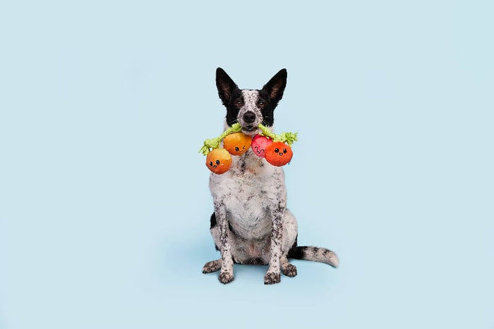 BARK dog toys Hairloom Tomatoes Plush Squeak Rope Tug Dog Toy