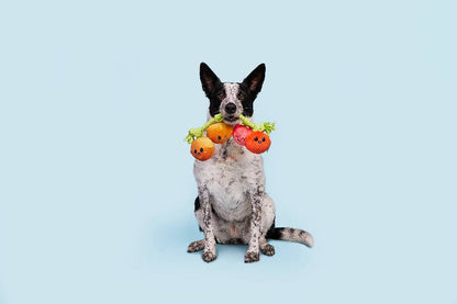 BARK dog toys Hairloom Tomatoes Plush Squeak Rope Tug Dog Toy
