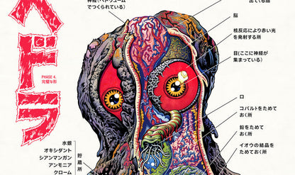 Hedorah Anatomy Poster