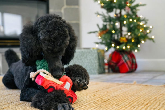 Play Pet Brands dog toys Home for the Holidays Holiday Hauler Christmas Truck Plush Squeak Dog Toy