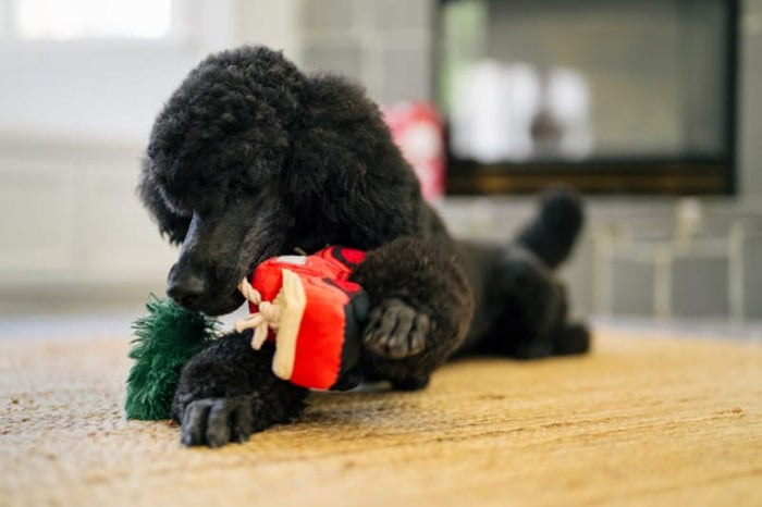 Play Pet Brands dog toys Home for the Holidays Holiday Hauler Christmas Truck Plush Squeak Dog Toy