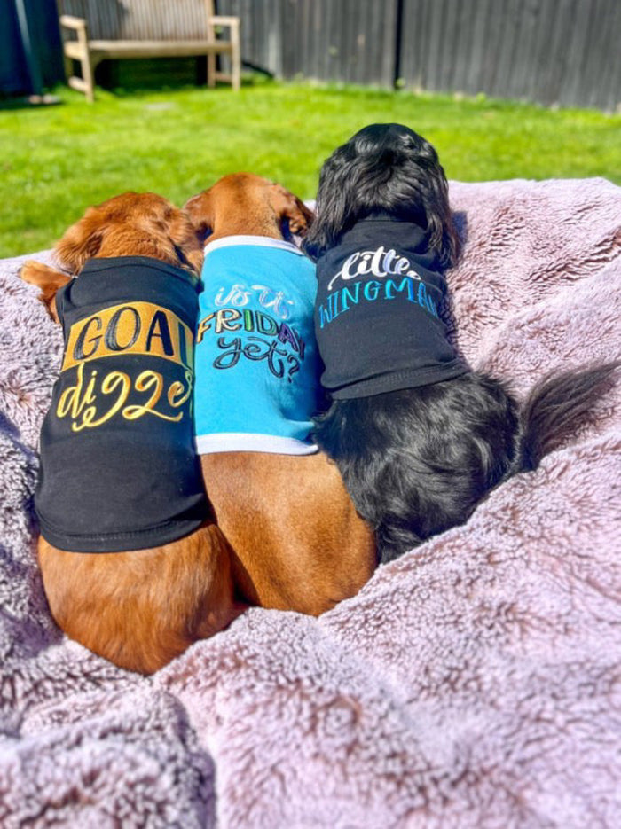 Little Wingman Black Embroidered Dog Tee