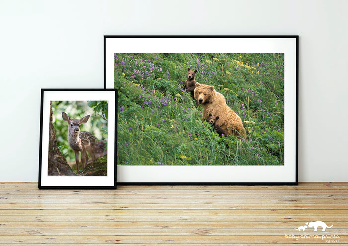 Mom and Baby Bears in Flowers Photo