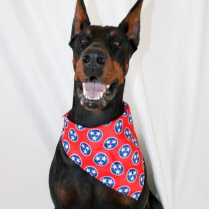 Dog Bandana Co. Nashville Tennessee Dog Bandana