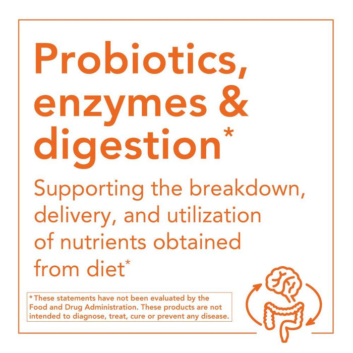Now Foods Probiotic - 10 50 Billion Powder 2oz - 2927 - The Oasis of Health